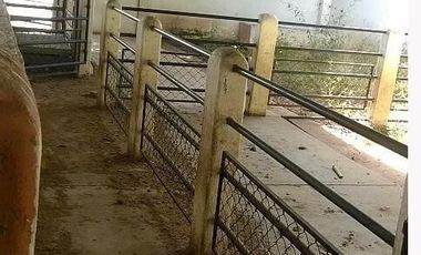 RANCHO EN VENTA EN TLALTIZAPAN ZARAGOZA MORELOS
