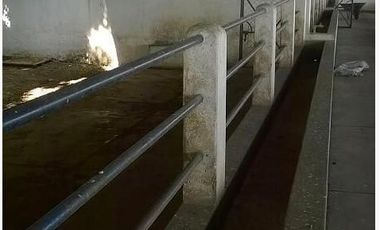 RANCHO EN VENTA EN TLALTIZAPAN ZARAGOZA MORELOS