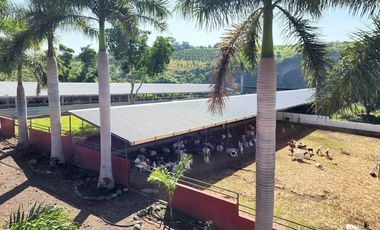 RANCHO EN VENTA EN TLALTIZAPAN ZARAGOZA MORELOS