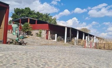 RANCHO EN VENTA EN TLALTIZAPAN ZARAGOZA MORELOS