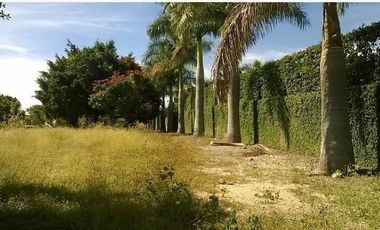 RANCHO EN VENTA EN TLALTIZAPAN ZARAGOZA MORELOS