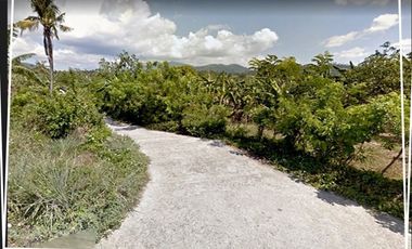 Land for sale in Laguna