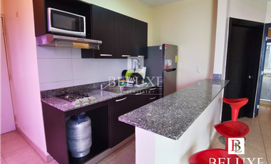 VENTAS DE CASA DE PLAYA EN IBIZA, RIO HATO- BIJAO (9)