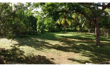 VENDO TERRENO-CASA 1200MTS RIO GRANDE PENONOME