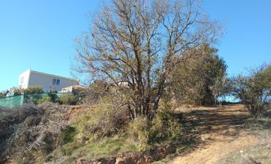 Se Venden Al Contado 2 Sitios En Cruz De Lorena, Quilpué