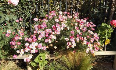 Se Venden Al Contado 2 Sitios En Cruz De Lorena, Quilpué