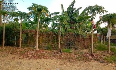 Tanah di Jemursari Selatan, Murah, Strategis