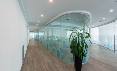 OFICINA en RENTA VISTA ESPECTACULAR en WTC NAPOLES PISO 48 PREMIERE