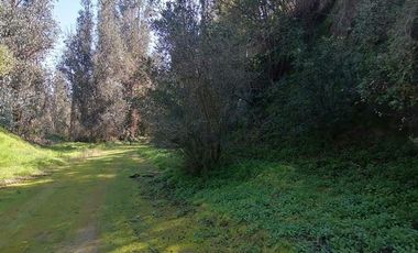 Parcela en Venta en Los Perales,sector La Retuca, Parque acuatico La Curunina, Quilpué