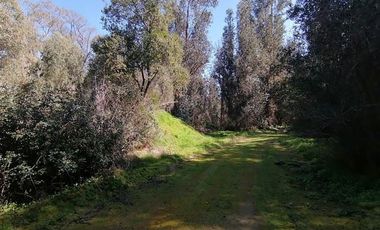 Parcela en Venta en Los Perales,sector La Retuca, Parque acuatico La Curunina, Quilpué