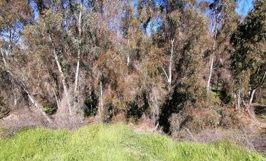 Parcela en Venta en Los Perales,sector La Retuca, Parque acuatico La Curunina, Quilpué