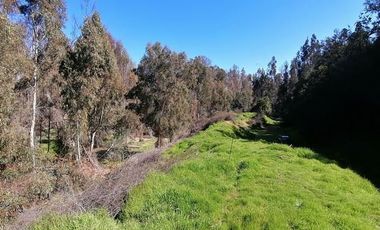 Parcela en Venta en Los Perales,sector La Retuca, Parque acuatico La Curunina, Quilpué