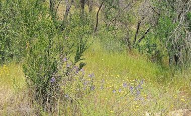 Parcela en Venta en Los Perales,sector La Retuca, Parque acuatico La Curunina, Quilpué