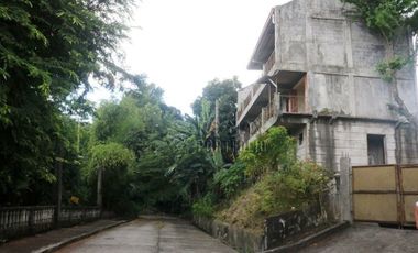 FOR SALE: 1,035 SQM Farm Land in Antipolo