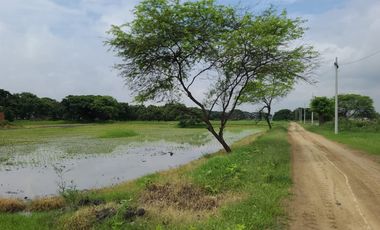 Terreno en Venta en el Buijo