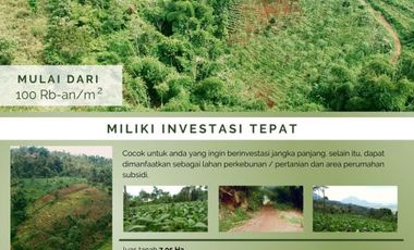 dijual cepat tanah murah di kadungora garut