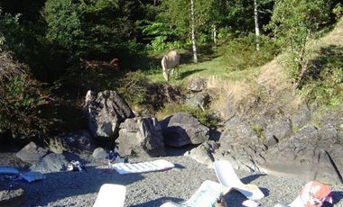 Espectacular Lodge Primera Línea Lago Ranco