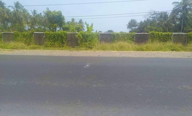 Dijual Tanah Panimbang Banten 1,5 Ha Jln Utama (Jual Cepat)