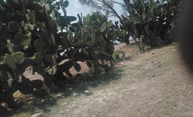 Venta de Terreno en Vista Alegre, en Aguascalientes.