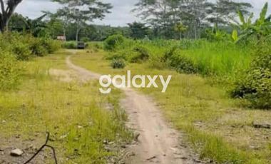 Tanah Murah dan Strategis di Kulonprogo