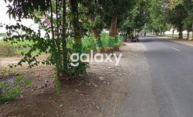 Tanah Murah dan Strategis di Kulonprogo