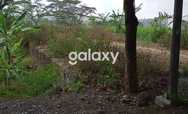 Tanah Murah dan Strategis di Kulonprogo