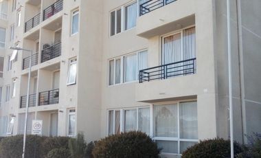 Arriendo Depto Belloto Norte Quilpué