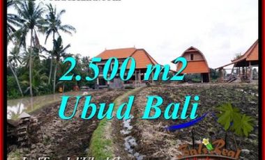 Peluang Investasi di Ubud Bali Murah Dgn Luas 25 Are