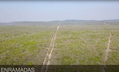 RANCHO EN VENTA ZONA DE LINARES