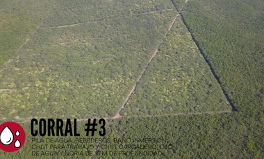 RANCHO EN VENTA ZONA DE LINARES