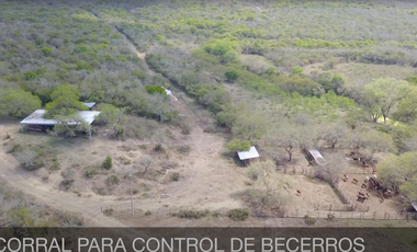 RANCHO EN VENTA ZONA DE LINARES