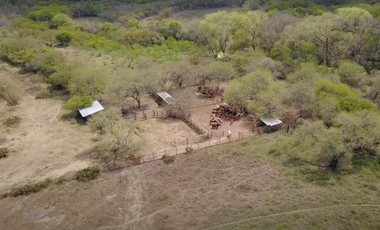 RANCHO EN VENTA ZONA DE LINARES