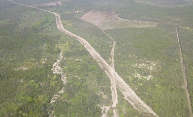 RANCHO EN VENTA ZONA DE LINARES