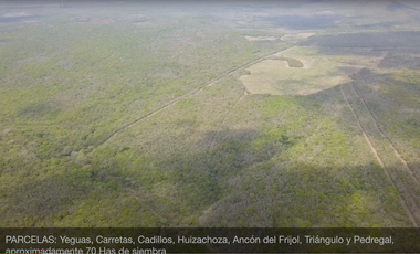 RANCHO EN VENTA ZONA DE LINARES