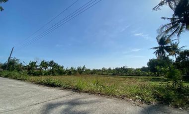 Dijual Tanah Dekat RSUD Queen Latifa Kulon Progo, DIY
