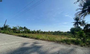 Dijual Tanah Dekat RSUD Queen Latifa Kulon Progo, DIY