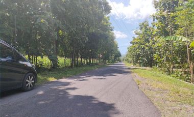 TANAH SENTOLO DEKAT TOL JOGJA: 1 JUTAAN LEGALITAS SHM