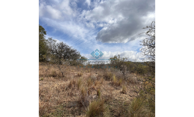 CAMPO 6.5 HAS CON RIO-SAN JORGE-CORDOBA