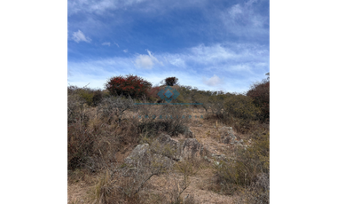 CAMPO 6.5 HAS CON RIO-SAN JORGE-CORDOBA