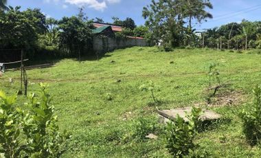 999 sqm residential lot for sale in Amadeo, nr Tagaytay. P4.5m