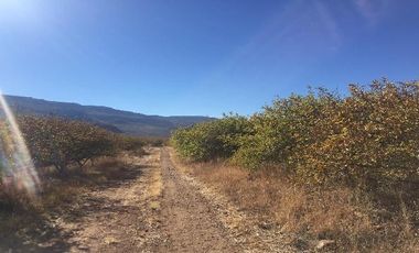 Rancho en Venta en Tabasco, Zacatecas