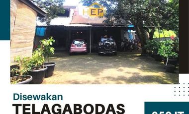 Disewakan rumah di Tlogobodas Jatingaleh Semarang