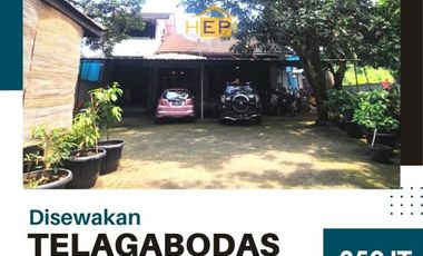 Rumah disewakan di Jawa Tengah, Semarang Kota