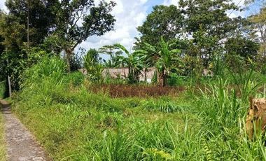 Land with views of valleys and mountains suitable for camping ground near Bedugul Bali