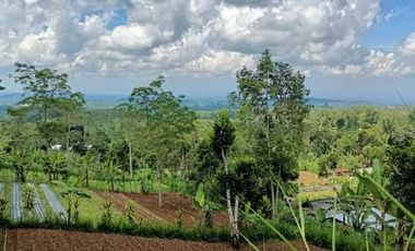 Land with views of valleys and mountains suitable for camping ground near Bedugul Bali