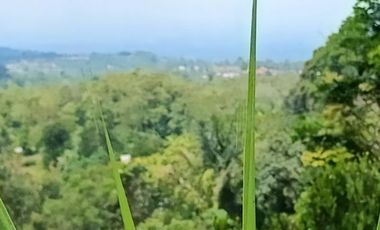 Land with views of valleys and mountains suitable for camping ground near Bedugul Bali
