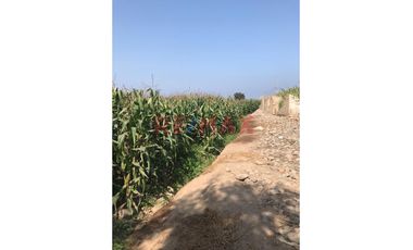 Terreno En Aucallama En La Misma Panamericana Norte – Ideal Para Almacenes O Proyecto Industrial 🏗️Restaurantes , Club Campestre