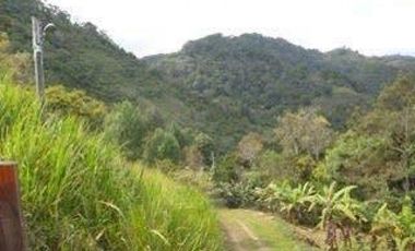 Maat vende finca en Villeta San Isidroi 12 Hectareas, $360 Millones