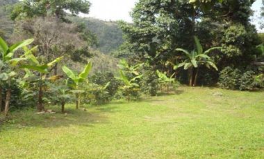 Maat vende finca en Villeta San Isidroi 12 Hectareas, $360 Millones