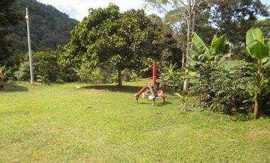 Maat vende finca en Villeta San Isidroi 12 Hectareas, $360 Millones